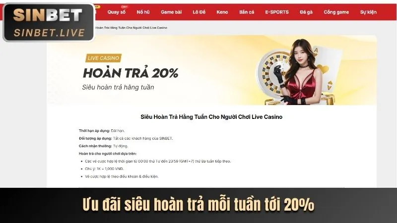 Minh họa các bước đăng ký tài khoản Vibet